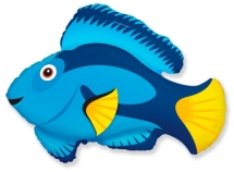 ᐉ Риба синя 901770 Фольга купить оптом в Украине • от 1 шт. • по цене 30.73  грн.